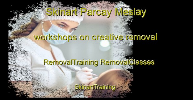 Skinart Parcay Meslay workshops on creative removal | #RemovalTraining #RemovalClasses #SkinartTraining-France