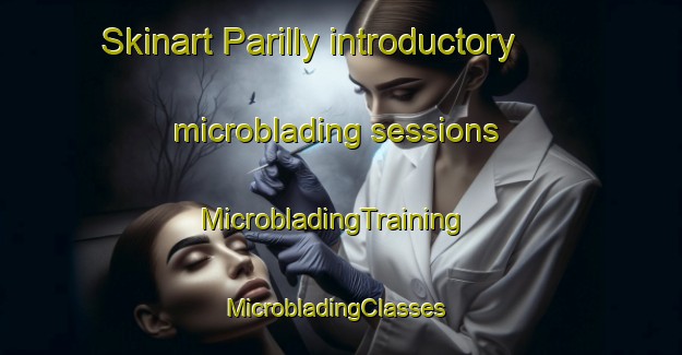 Skinart Parilly introductory microblading sessions | MicrobladingTraining | MicrobladingClasses | SkinartTraining-France