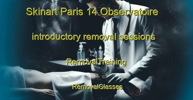 Skinart Paris 14 Observatoire introductory removal sessions | RemovalTraining | RemovalClasses | SkinartTraining-France