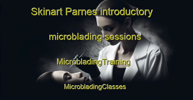 Skinart Parnes introductory microblading sessions | MicrobladingTraining | MicrobladingClasses | SkinartTraining-France