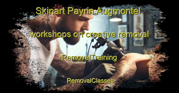 Skinart Payrin Augmontel workshops on creative removal | RemovalTraining | RemovalClasses | SkinartTraining-France