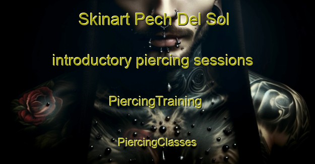 Skinart Pech Del Sol introductory piercing sessions | #PiercingTraining #PiercingClasses #SkinartTraining-France