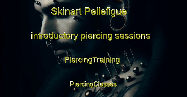 Skinart Pellefigue introductory piercing sessions | #PiercingTraining #PiercingClasses #SkinartTraining-France