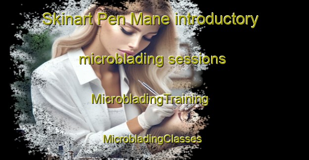 Skinart Pen Mane introductory microblading sessions | MicrobladingTraining | MicrobladingClasses | SkinartTraining-France