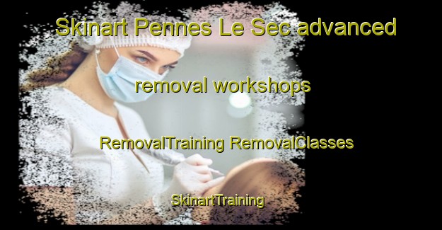 Skinart Pennes Le Sec advanced removal workshops | #RemovalTraining #RemovalClasses #SkinartTraining-France