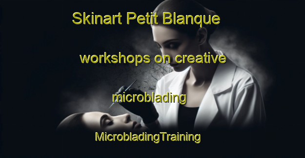 Skinart Petit Blanque workshops on creative microblading | MicrobladingTraining | MicrobladingClasses | SkinartTraining-France