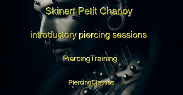 Skinart Petit Chanoy introductory piercing sessions | #PiercingTraining #PiercingClasses #SkinartTraining-France