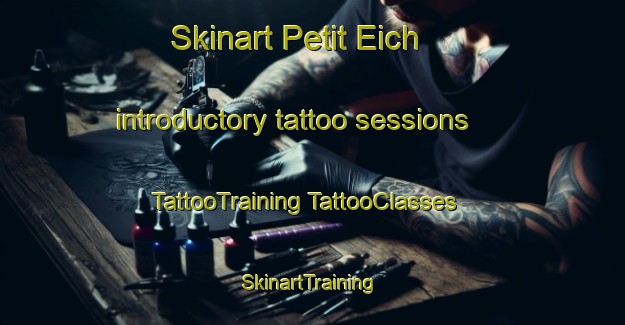 Skinart Petit Eich introductory tattoo sessions | #TattooTraining #TattooClasses #SkinartTraining-France