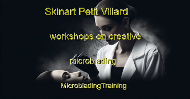 Skinart Petit Villard workshops on creative microblading | #MicrobladingTraining #MicrobladingClasses #SkinartTraining-France