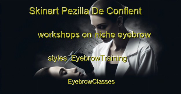 Skinart Pezilla De Conflent workshops on niche eyebrow styles | EyebrowTraining | EyebrowClasses | SkinartTraining-France