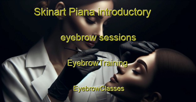 Skinart Piana introductory eyebrow sessions | EyebrowTraining | EyebrowClasses | SkinartTraining-France