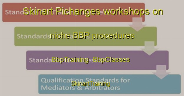 Skinart Pichanges workshops on niche BBP procedures | BbpTraining | BbpClasses | SkinartTraining-France