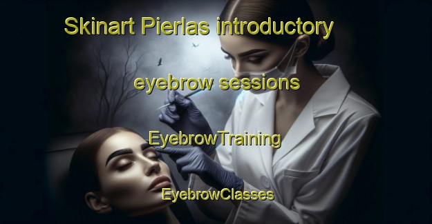 Skinart Pierlas introductory eyebrow sessions | EyebrowTraining | EyebrowClasses | SkinartTraining-France