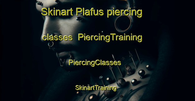 Skinart Plafus piercing classes | PiercingTraining | PiercingClasses | SkinartTraining-France