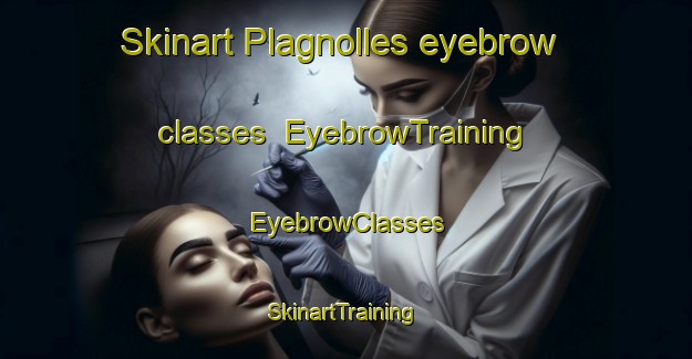 Skinart Plagnolles eyebrow classes | EyebrowTraining | EyebrowClasses | SkinartTraining-France