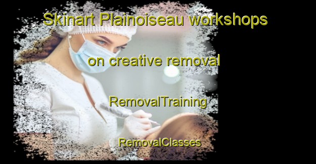 Skinart Plainoiseau workshops on creative removal | RemovalTraining | RemovalClasses | SkinartTraining-France