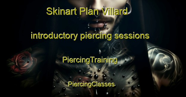 Skinart Plan Villard introductory piercing sessions | PiercingTraining | PiercingClasses | SkinartTraining-France