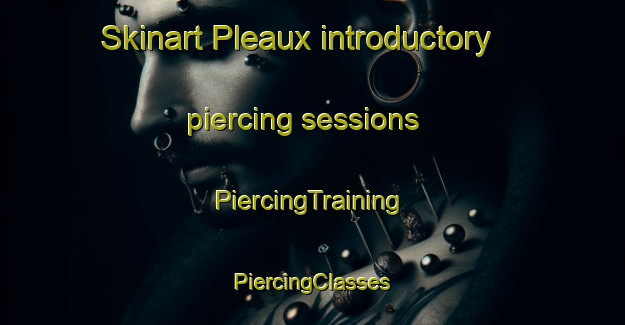 Skinart Pleaux introductory piercing sessions | #PiercingTraining #PiercingClasses #SkinartTraining-France