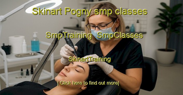 Skinart Pogny smp classes | SmpTraining | SmpClasses | SkinartTraining-France