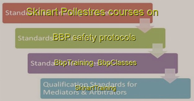 Skinart Pollestres courses on BBP safety protocols | BbpTraining | BbpClasses | SkinartTraining-France