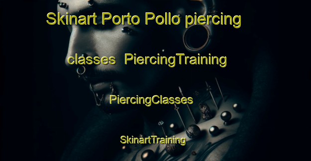 Skinart Porto Pollo piercing classes | PiercingTraining | PiercingClasses | SkinartTraining-France