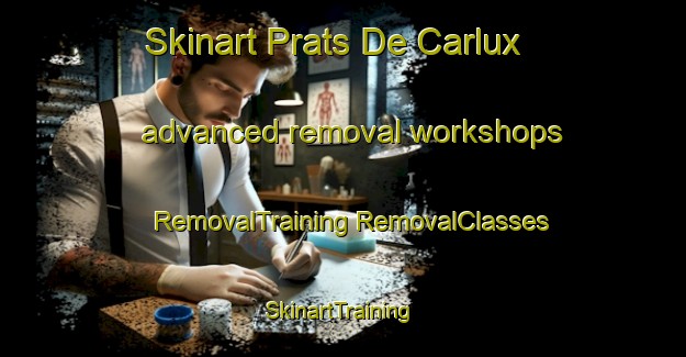 Skinart Prats De Carlux advanced removal workshops | #RemovalTraining #RemovalClasses #SkinartTraining-France