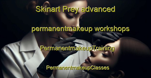 Skinart Prey advanced permanentmakeup workshops | PermanentmakeupTraining | PermanentmakeupClasses | SkinartTraining-France