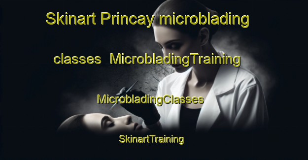 Skinart Princay microblading classes | MicrobladingTraining | MicrobladingClasses | SkinartTraining-France