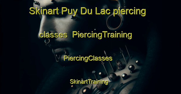 Skinart Puy Du Lac piercing classes | PiercingTraining | PiercingClasses | SkinartTraining-France
