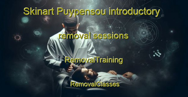 Skinart Puypensou introductory removal sessions | RemovalTraining | RemovalClasses | SkinartTraining-France