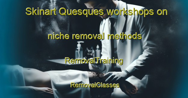 Skinart Quesques workshops on niche removal methods | RemovalTraining | RemovalClasses | SkinartTraining-France