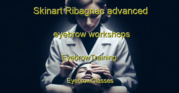 Skinart Ribagnac advanced eyebrow workshops | EyebrowTraining | EyebrowClasses | SkinartTraining-France
