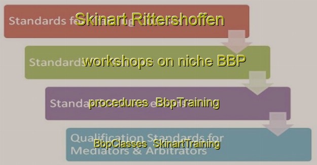 Skinart Rittershoffen workshops on niche BBP procedures | BbpTraining | BbpClasses | SkinartTraining-France