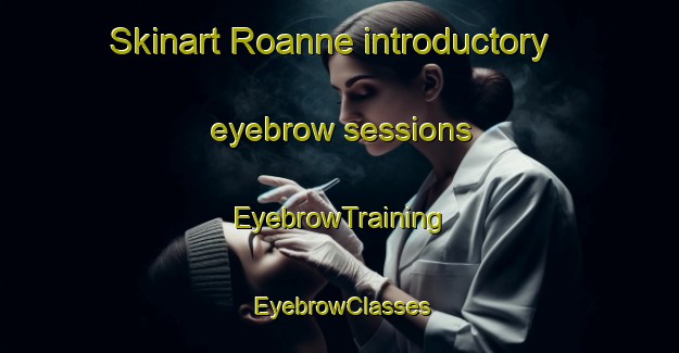 Skinart Roanne introductory eyebrow sessions | EyebrowTraining | EyebrowClasses | SkinartTraining-France