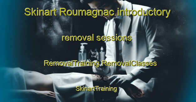 Skinart Roumagnac introductory removal sessions | #RemovalTraining #RemovalClasses #SkinartTraining-France