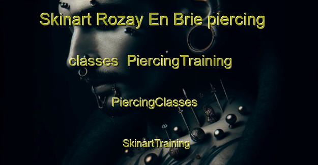 Skinart Rozay En Brie piercing classes | PiercingTraining | PiercingClasses | SkinartTraining-France