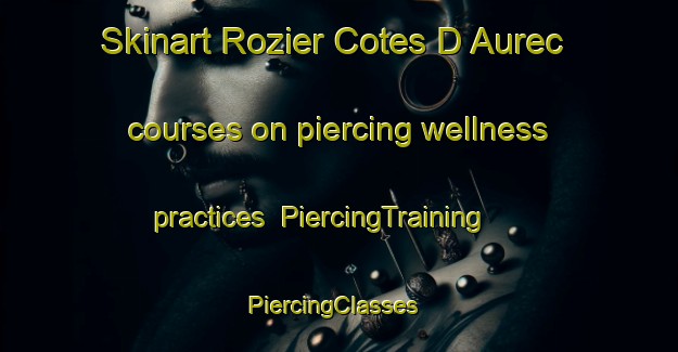 Skinart Rozier Cotes D Aurec courses on piercing wellness practices | PiercingTraining | PiercingClasses | SkinartTraining-France