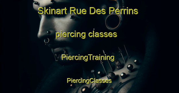 Skinart Rue Des Perrins piercing classes | #PiercingTraining #PiercingClasses #SkinartTraining-France