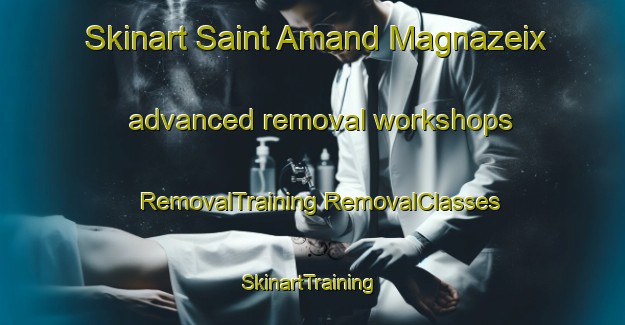 Skinart Saint Amand Magnazeix advanced removal workshops | #RemovalTraining #RemovalClasses #SkinartTraining-France