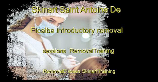 Skinart Saint Antoine De Ficalba introductory removal sessions | #RemovalTraining #RemovalClasses #SkinartTraining-France