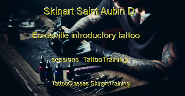 Skinart Saint Aubin D Ecrosville introductory tattoo sessions | #TattooTraining #TattooClasses #SkinartTraining-France