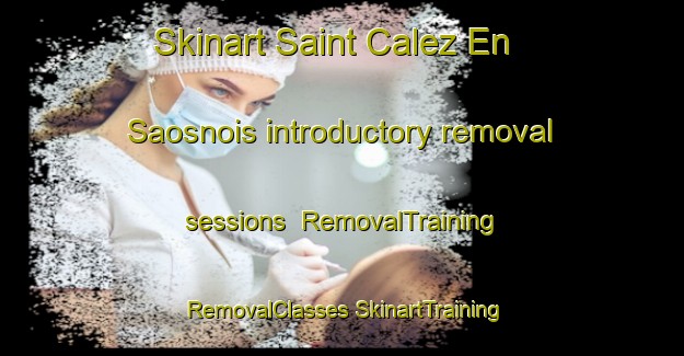 Skinart Saint Calez En Saosnois introductory removal sessions | #RemovalTraining #RemovalClasses #SkinartTraining-France