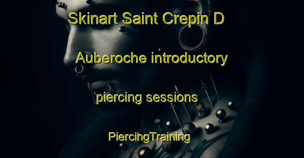 Skinart Saint Crepin D Auberoche introductory piercing sessions | #PiercingTraining #PiercingClasses #SkinartTraining-France