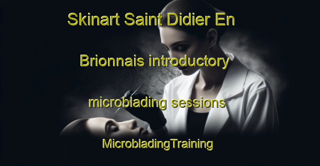 Skinart Saint Didier En Brionnais introductory microblading sessions | #MicrobladingTraining #MicrobladingClasses #SkinartTraining-France