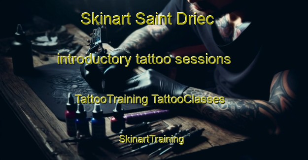 Skinart Saint Driec introductory tattoo sessions | #TattooTraining #TattooClasses #SkinartTraining-France