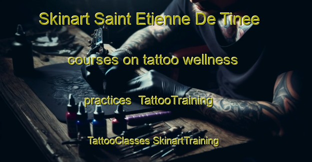 Skinart Saint Etienne De Tinee courses on tattoo wellness practices | #TattooTraining #TattooClasses #SkinartTraining-France