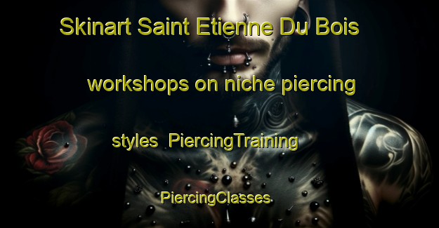 Skinart Saint Etienne Du Bois workshops on niche piercing styles | PiercingTraining | PiercingClasses | SkinartTraining-France