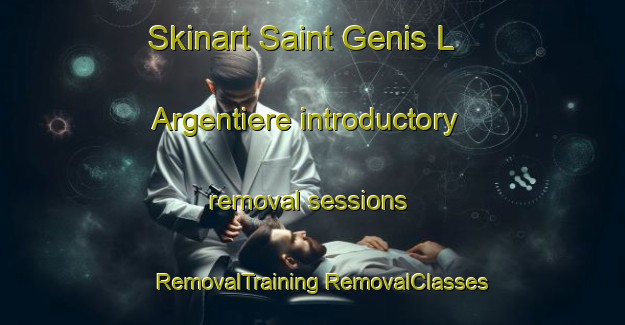 Skinart Saint Genis L Argentiere introductory removal sessions | #RemovalTraining #RemovalClasses #SkinartTraining-France