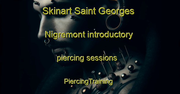 Skinart Saint Georges Nigremont introductory piercing sessions | #PiercingTraining #PiercingClasses #SkinartTraining-France