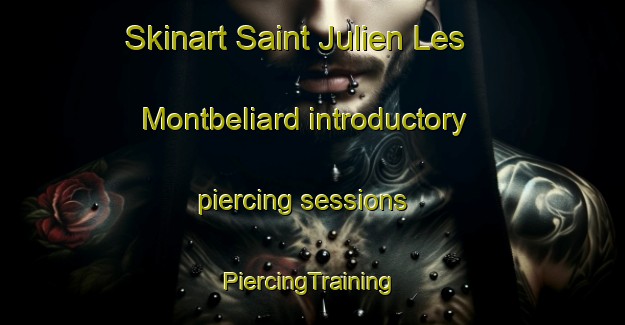 Skinart Saint Julien Les Montbeliard introductory piercing sessions | #PiercingTraining #PiercingClasses #SkinartTraining-France